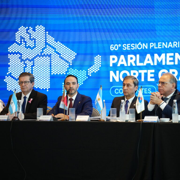 Valdés en el Parlamento del Norte Grande: “Es un ejemplo para el país porque busca el federalismo”