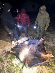 Advierten que el abigeato provocó el abandono de 400 mil hectáreas en Corrientes