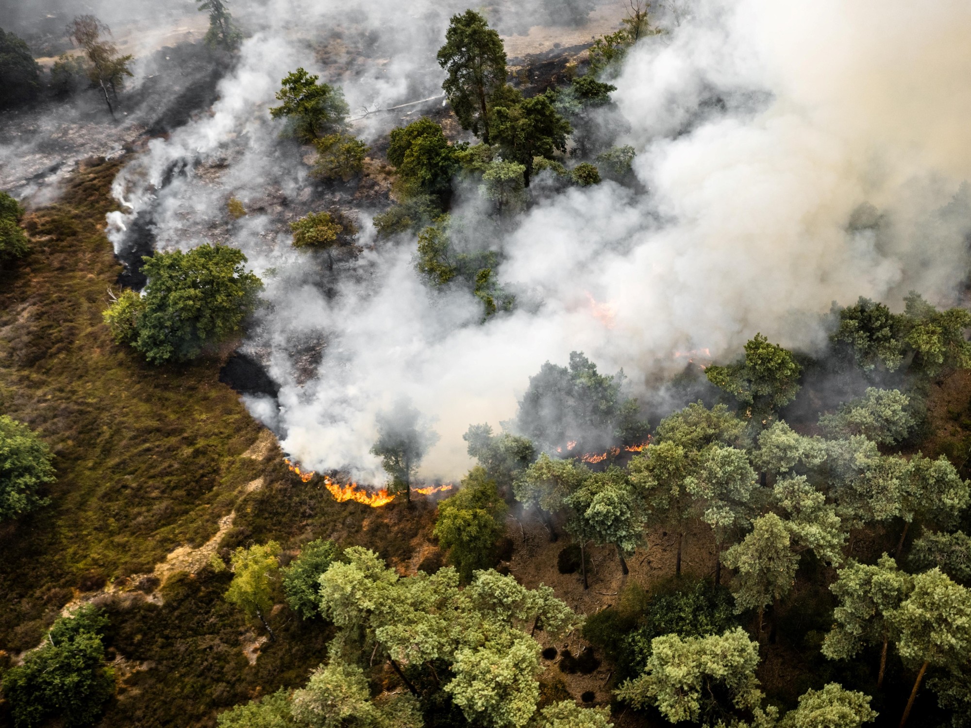 Alerta global por máximos históricos en gases de efecto invernadero