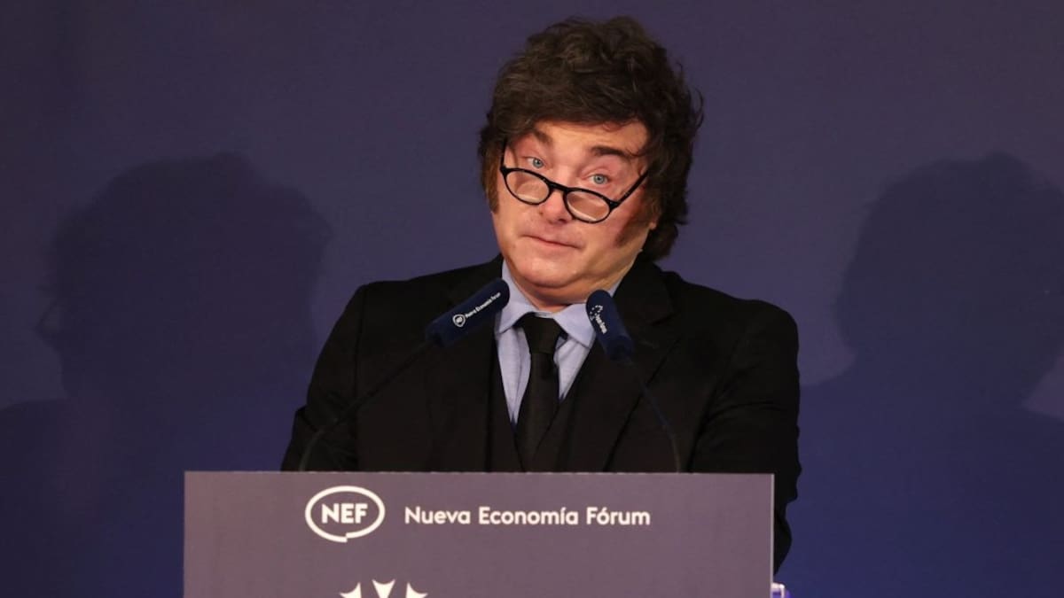 Amnistía Internacional denunciará a Javier Milei ante la ONU y la CIDH
