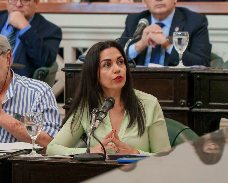 Analizan en la Legislatura un proyecto para digitalizar el sistema de salud en Corrientes