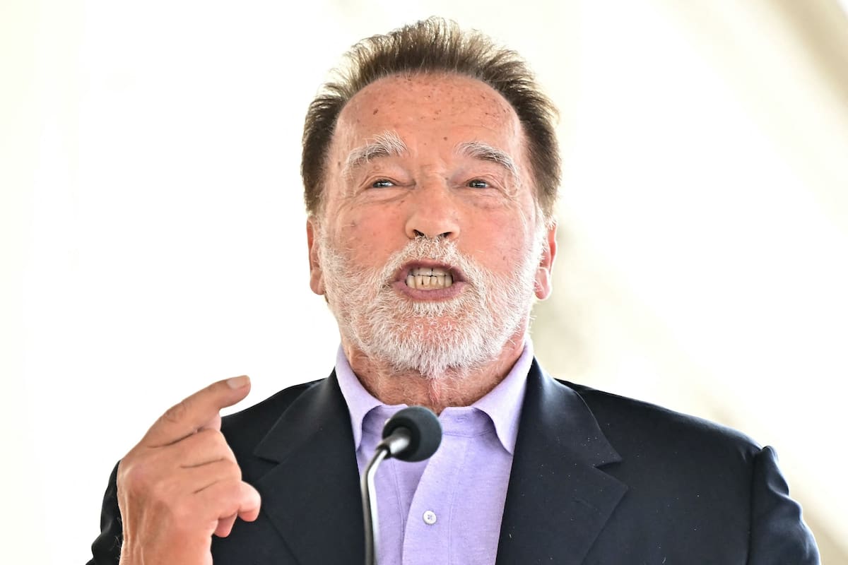 Arnold Schwarzenegger pide ampliar la energía nuclear en California