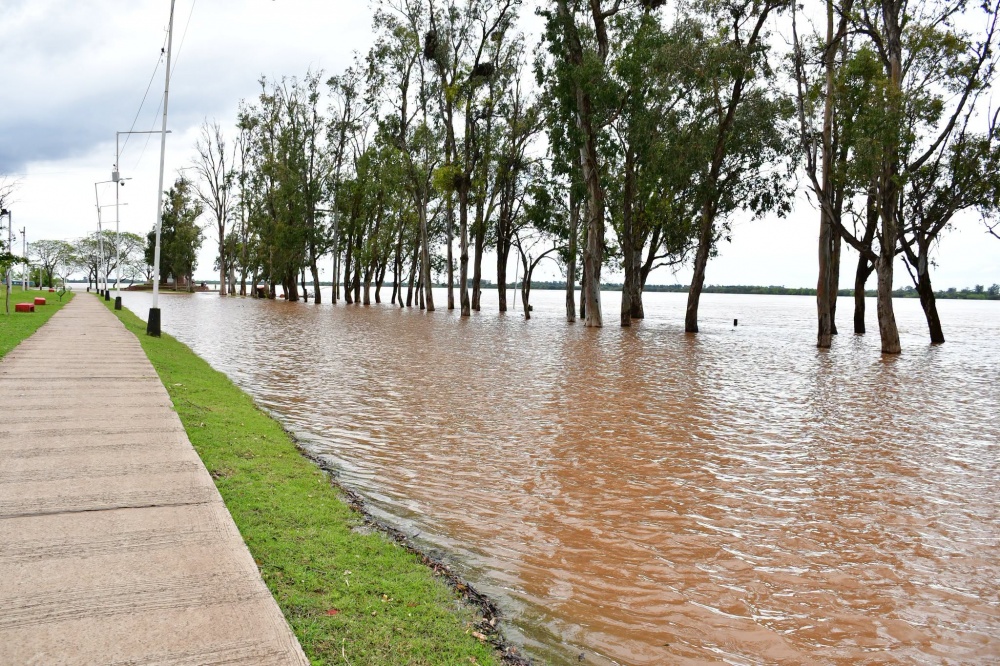 Creciente del río Uruguay: aseguran que la situación está controlada en Monte Caseros y no hay evacuados