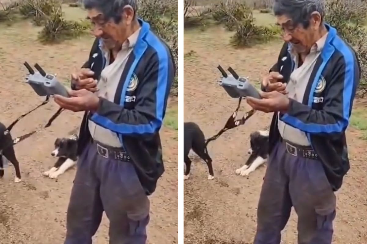 Criancero recuperó su rebaño extraviado con ayuda tecnológica