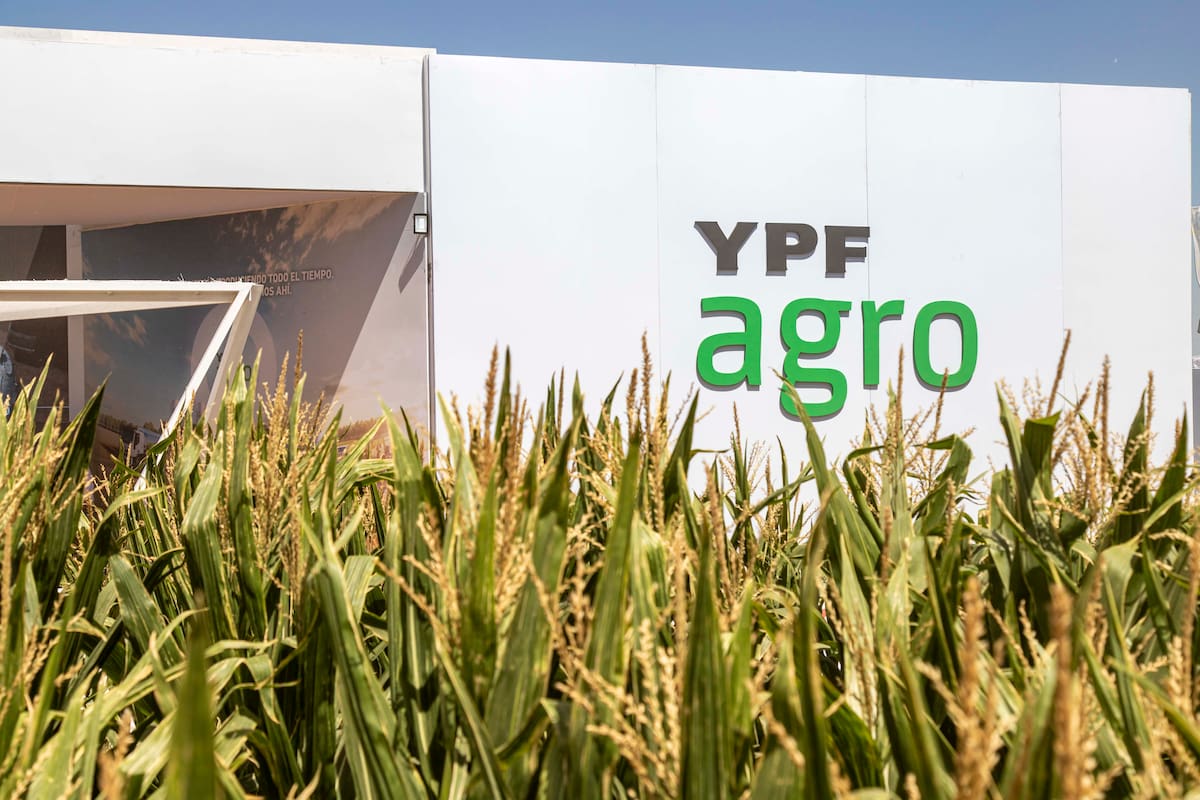 El negocio de agro de YPF facturó US$344 millones en el trimestre