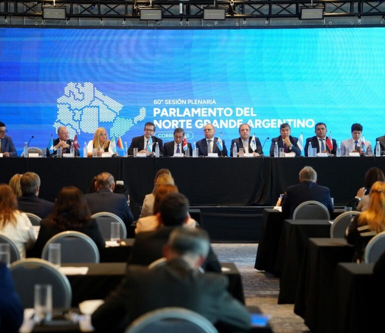 El Parlamento del Norte Grande abordó los límites de Isla Apipé y el impacto del fenómeno climático