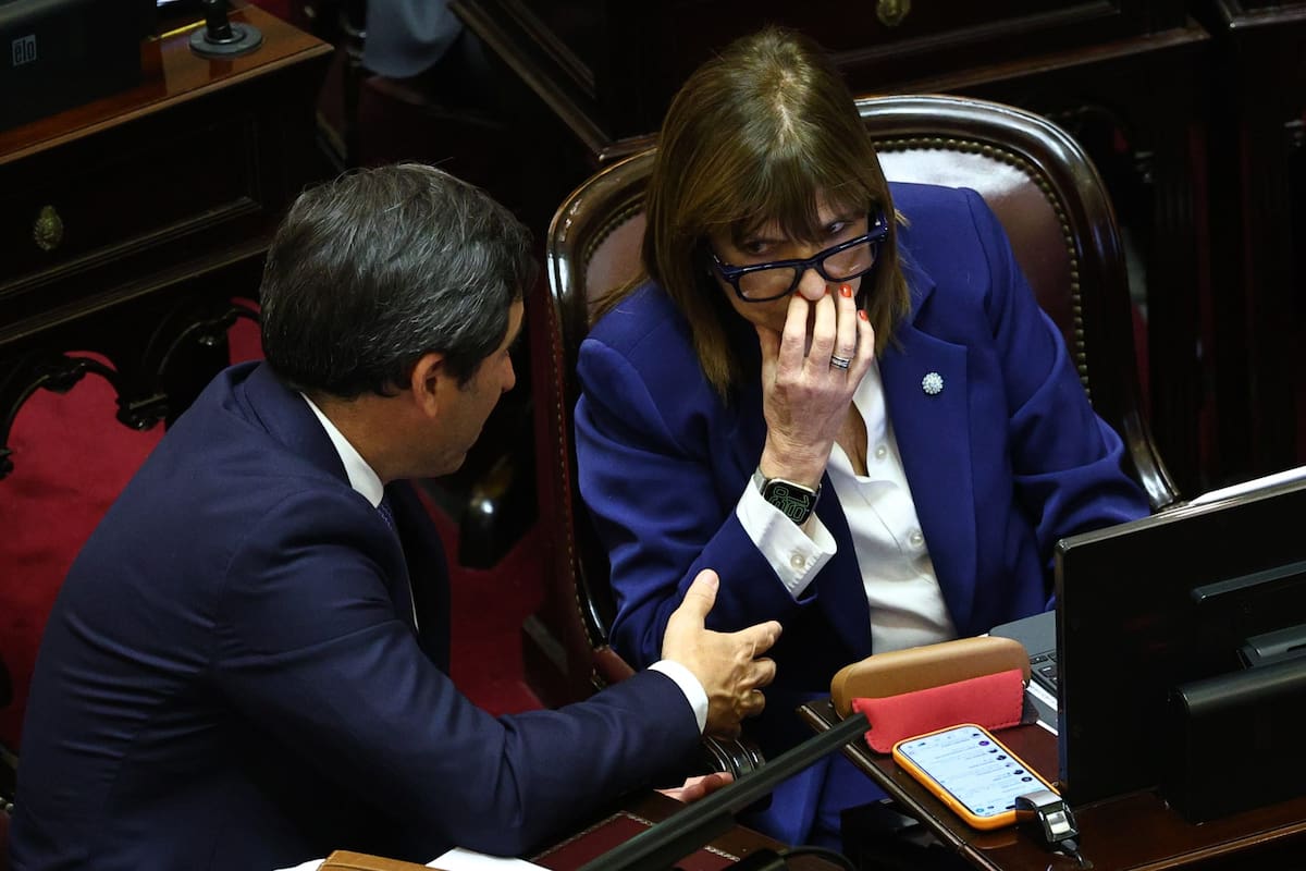 El Senado aprobó con cambios la reforma de la ley de salud mental