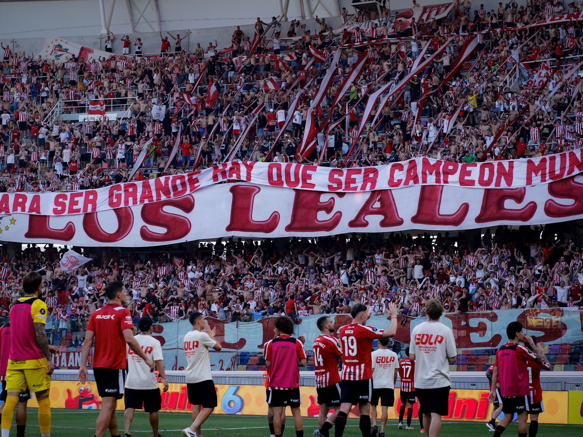 Estudiantes facilitará micros para sus hinchas rumbo a la final