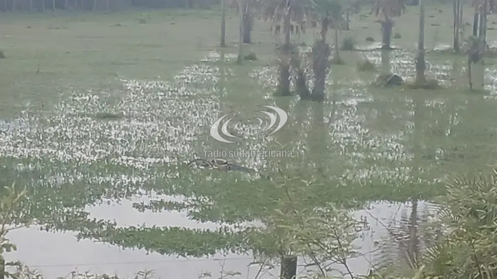 Identificaron al hombre hallado sin vida en una zona inundada