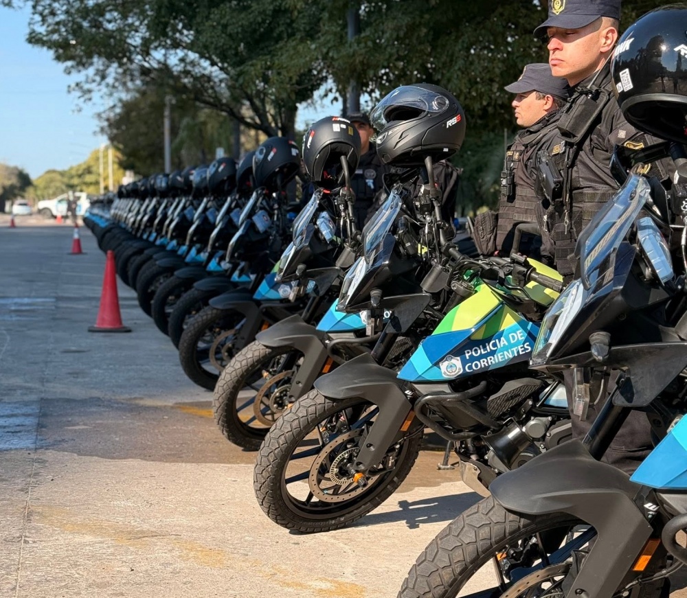 Operativo de seguridad por el recital de Tan Biónica